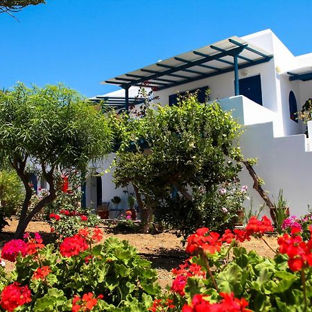 Maroussa Studios Agia Anna  Dış mekan fotoğraf